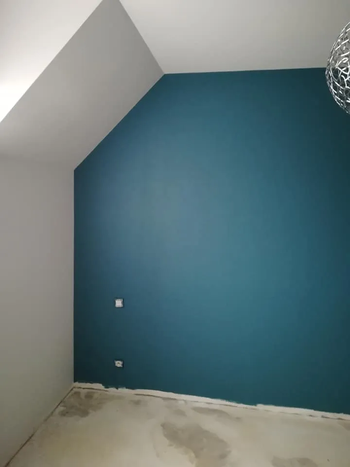 cloison placo entrammes