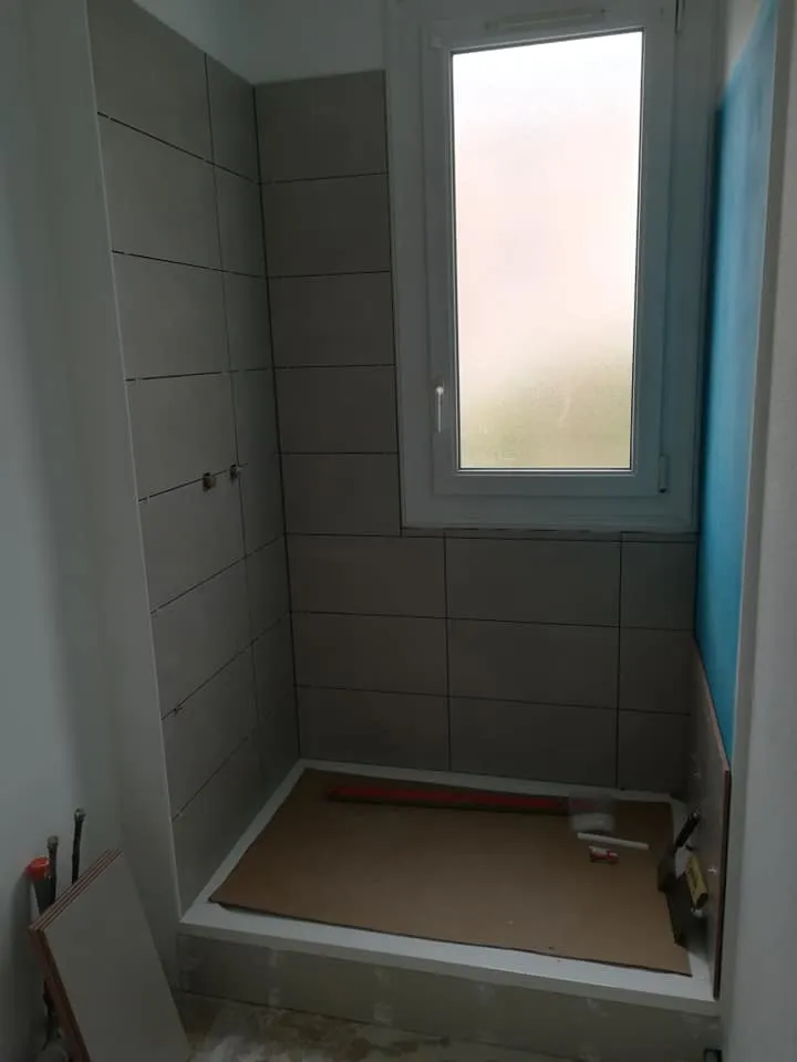 faux plafond saint berthevin