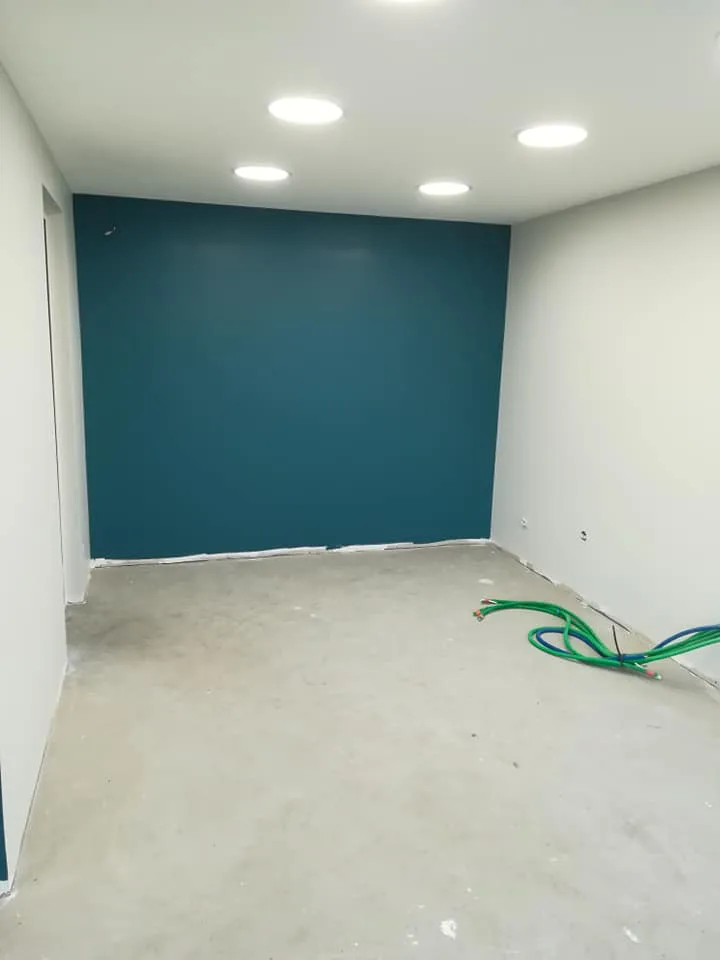 peintre d interieur louverne