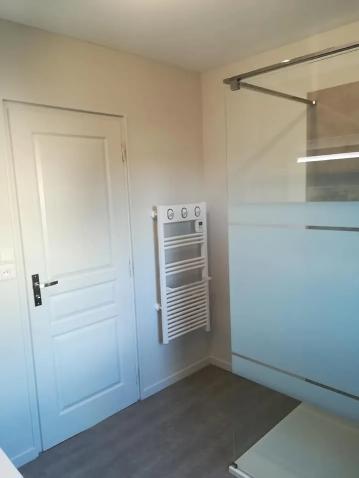 plaquiste chateau gontier